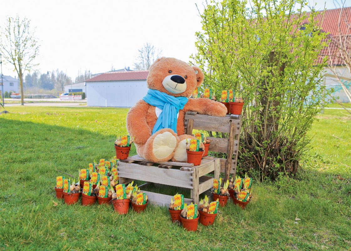 Hallbergmoos-HIA-Osterblumenaktion-Baer