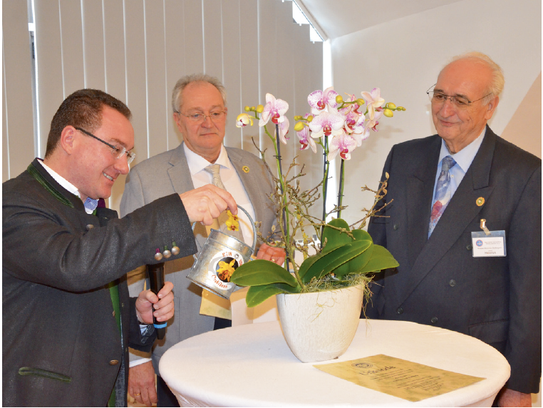 Hallbergmoos-Orchideenmarkt