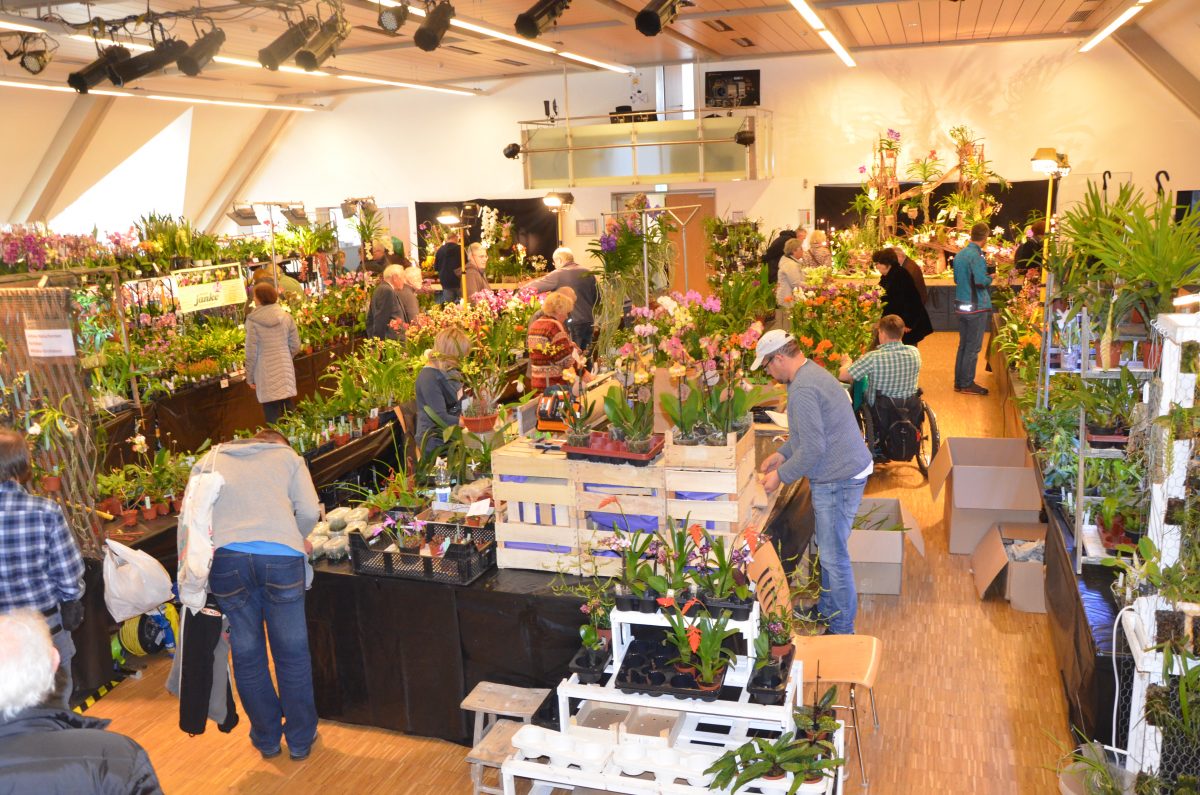 Hallbergmoos-Orchideenmarkt