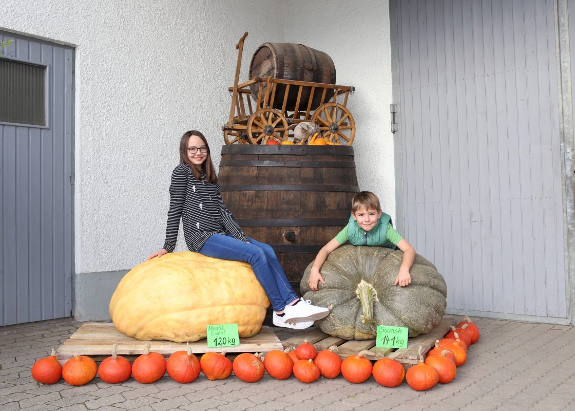 MK-Hallbergmoos-Kuerbissgiganten-10-2020