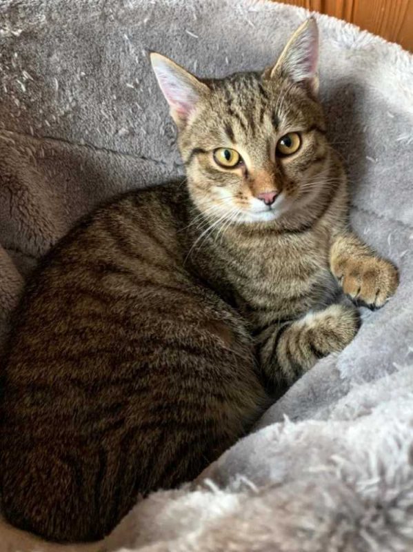 MK-Hallbergmoos-Happy-Kater-2020