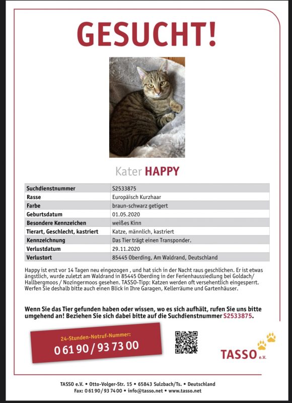 MK-Hallbergmoos-happy-kater-vermisst-2020
