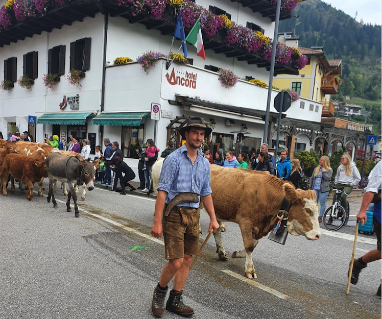 mk-hallbergmoos-predazzo-almabtrieb-2021