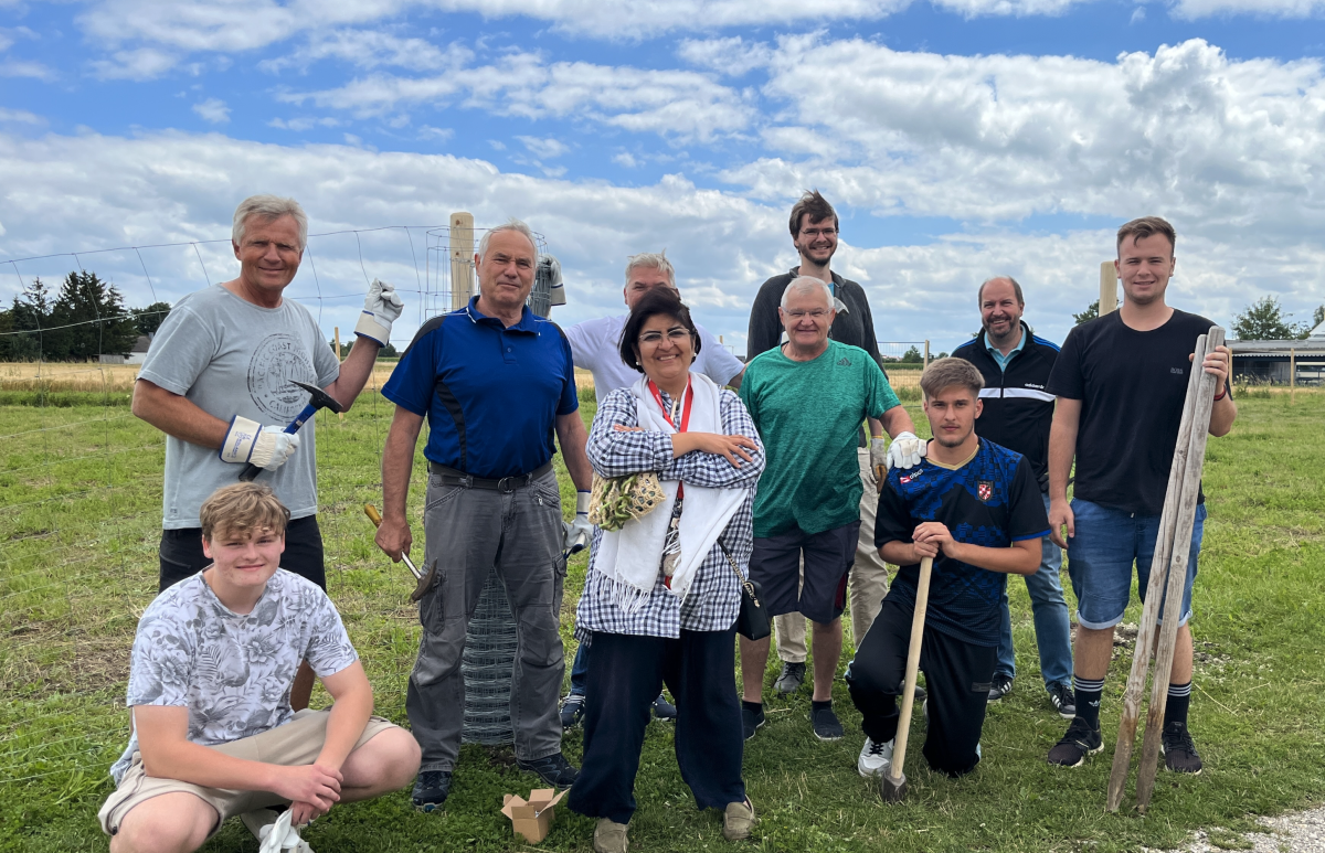 mk-hallbergmoos-schafe-mittelschule-2022